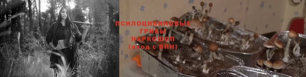 крисы Семёнов
