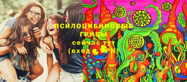 шишки Абдулино