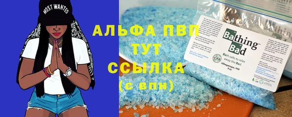 сатива Абаза