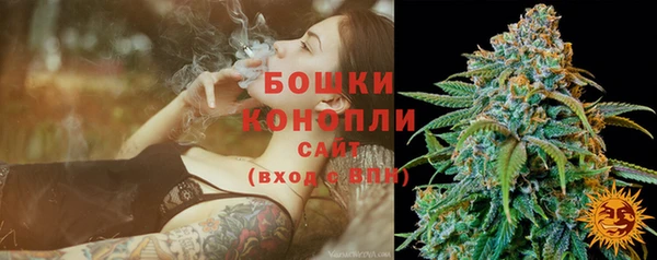 сатива Абаза
