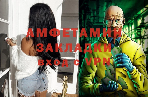 сатива Абаза