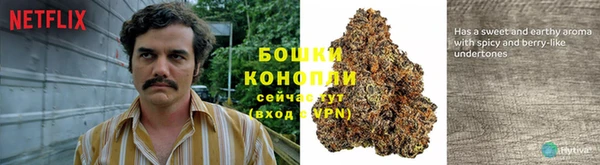 шишки Абдулино