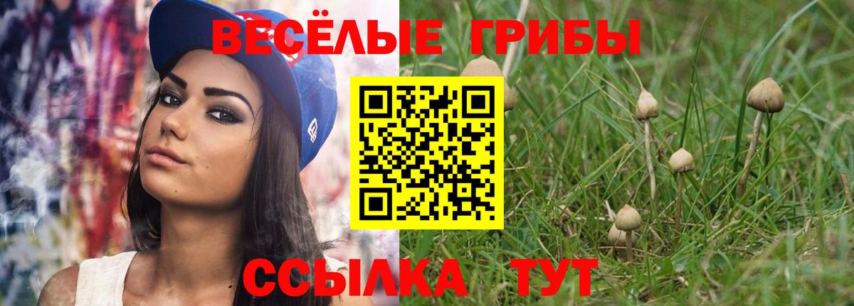 Псилоцибиновые грибы ЛСД Зеленодольск