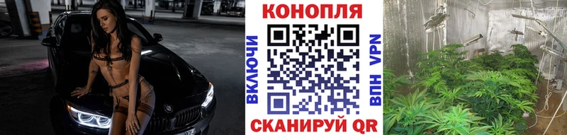 omg ССЫЛКА  купить закладку  Зеленодольск  Конопля Bruce Banner 